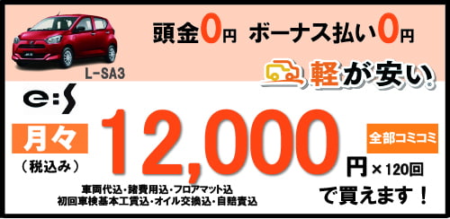 es月々12,000円