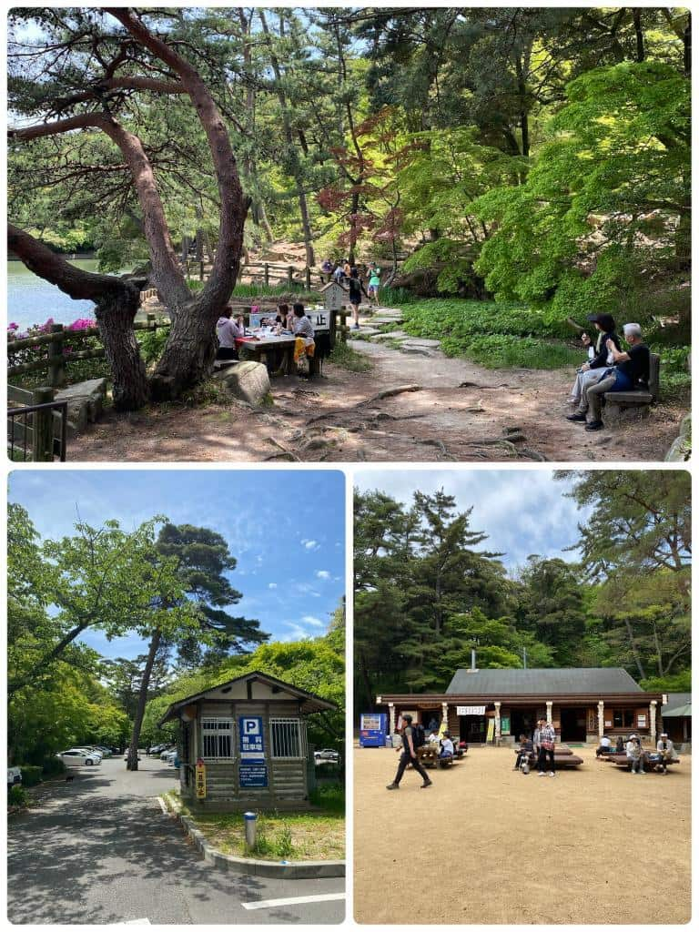 新緑が眩しい再度公園(神戸市）